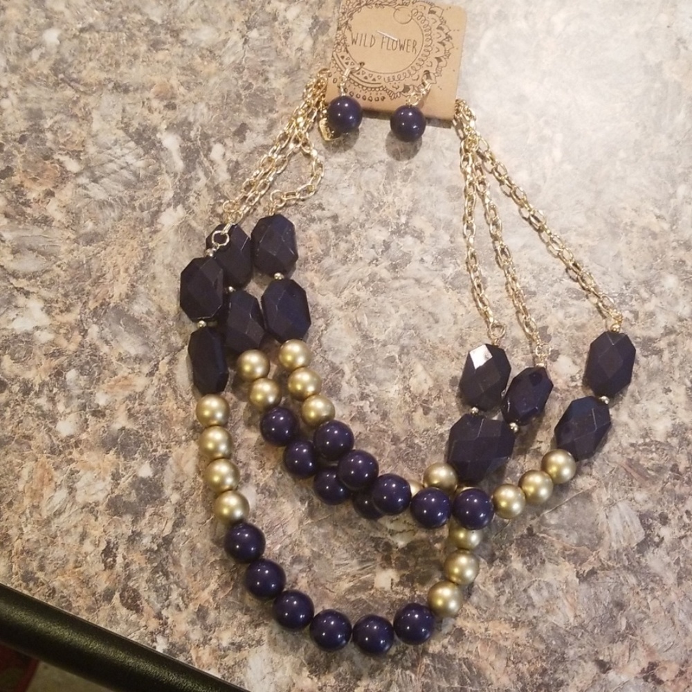 NWT Necklace and Earring set